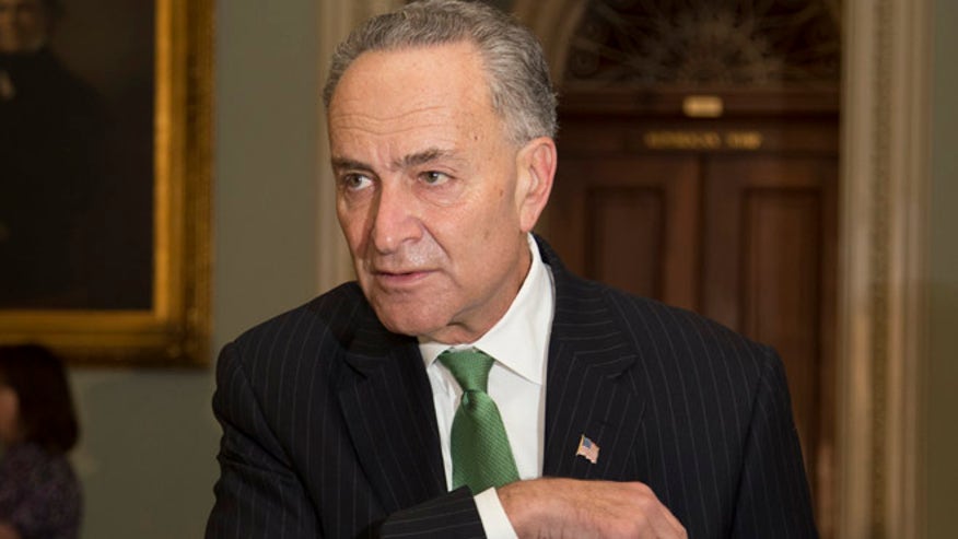 Schumer_110213.jpg