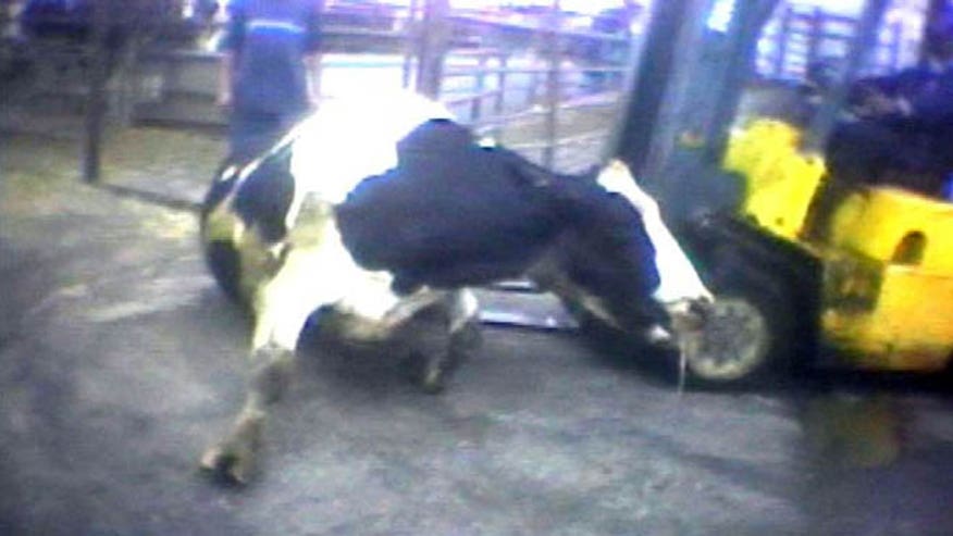 animal_abuse_videos_bill.jpg