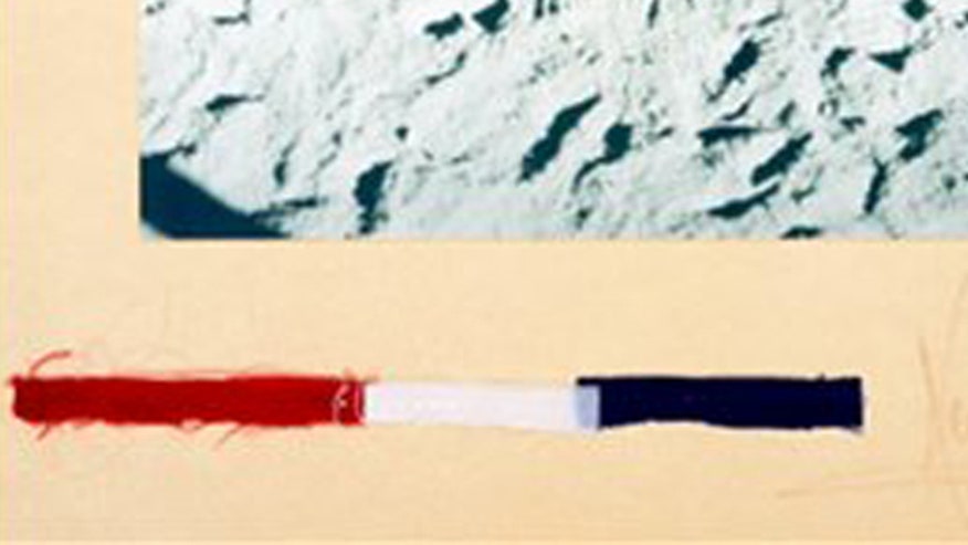 A segment of the lunar flag