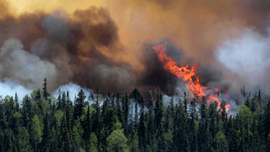 arizona wildfire