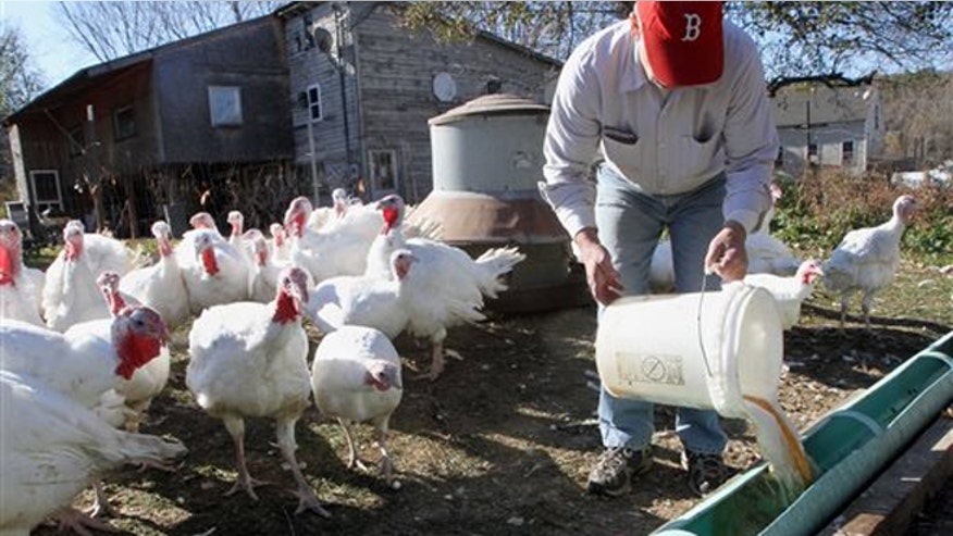 beer_turkey.jpg