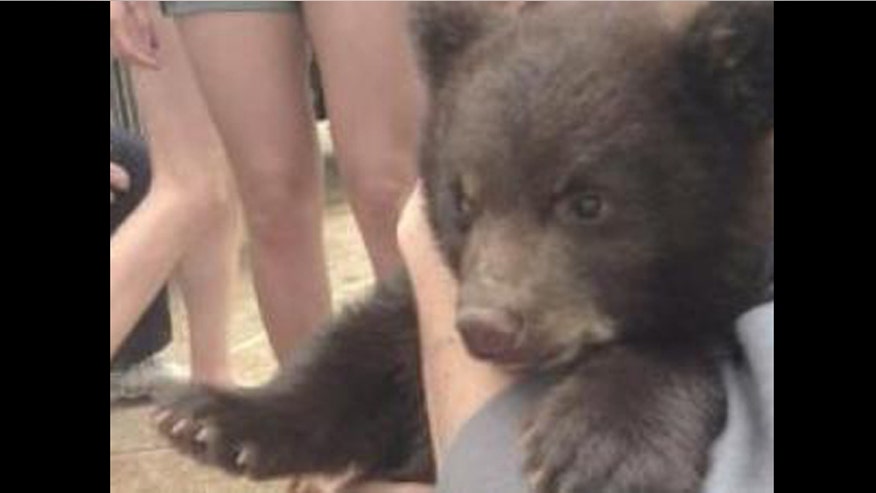 boo-boo-the-bear.jpg