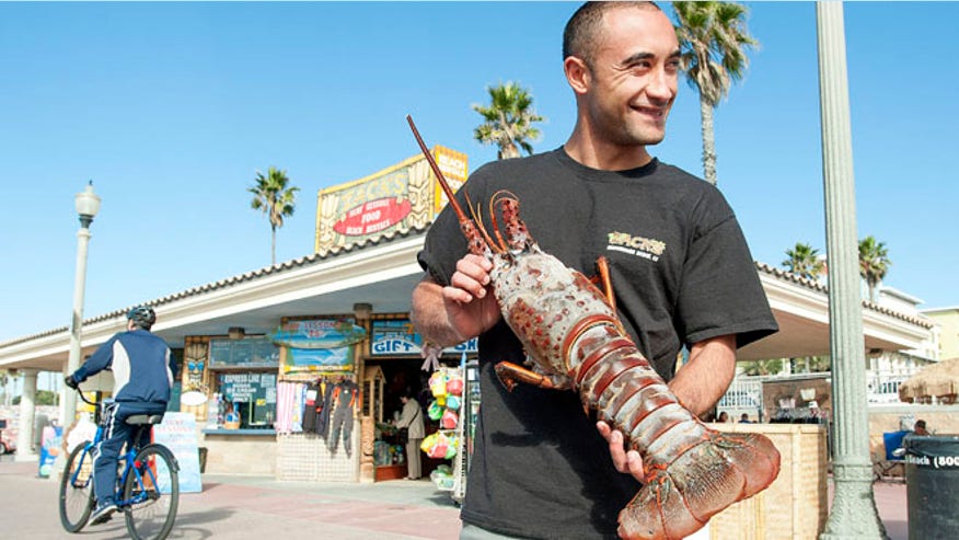 california-monster-lobster.jpg