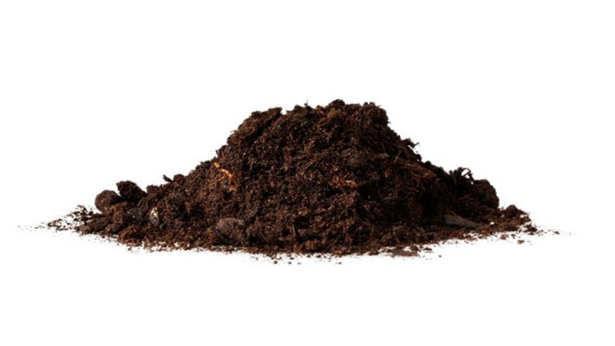 Japanese restaurant now sells high-quality dirt/debris meal for up to $110 