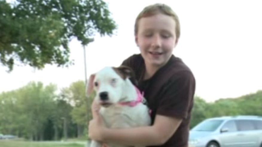 Dog Saves Allergic Boy From Swarm of Bees