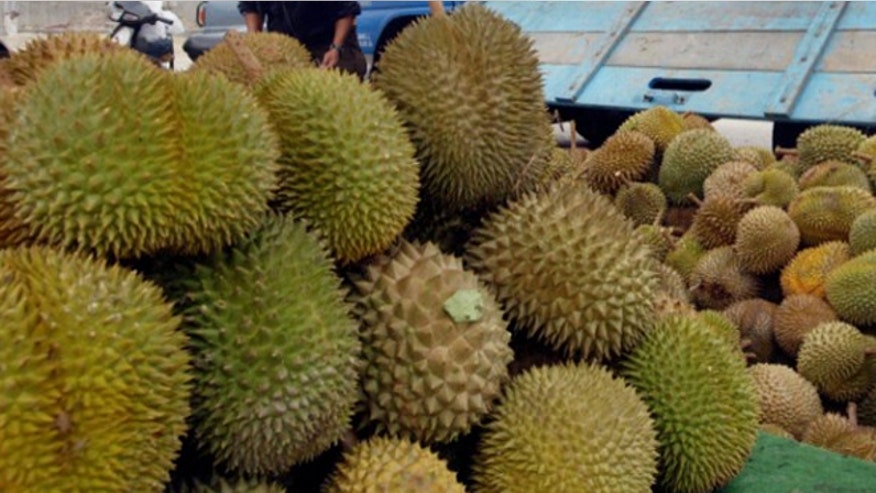 durian_fruit.jpg