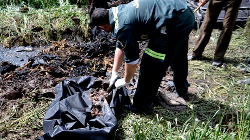 egypt_balloon_crash_wreckage.jpg