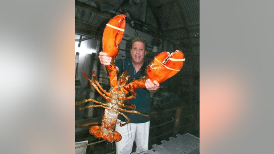 giantlobster.jpg?ve=1&tl=1