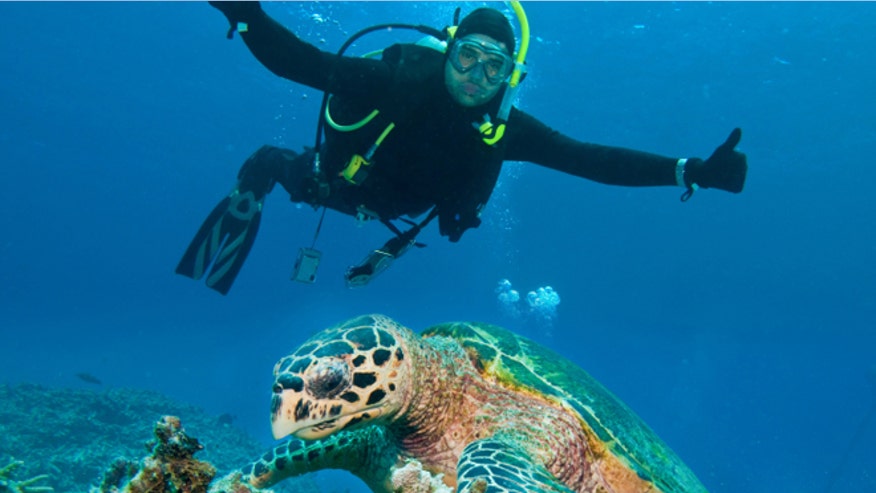 great_barrier_reef_istock.jpg