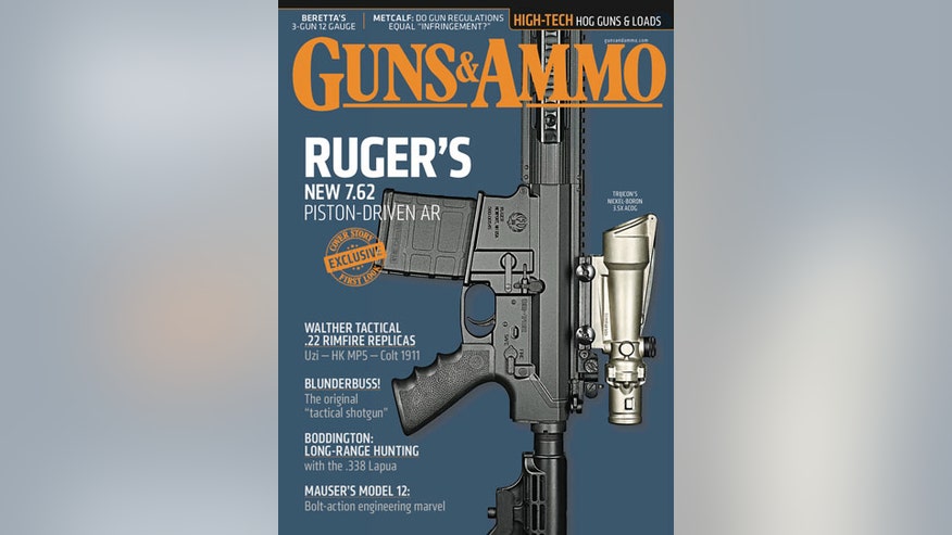 guns_ammo.jpg
