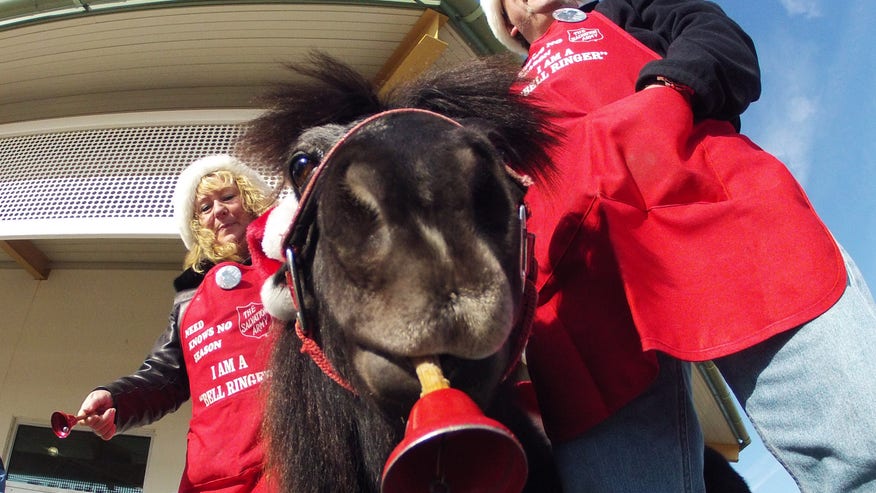 horsesalvationarmy.jpg
