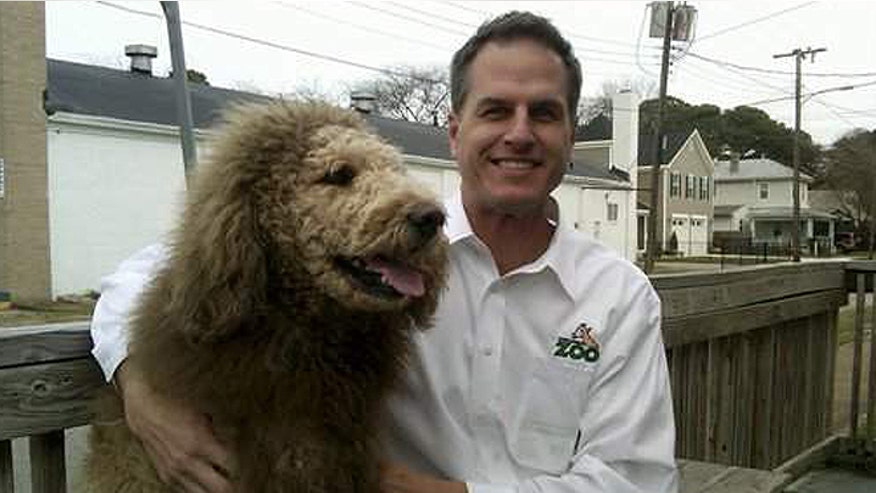 liondog.jpg