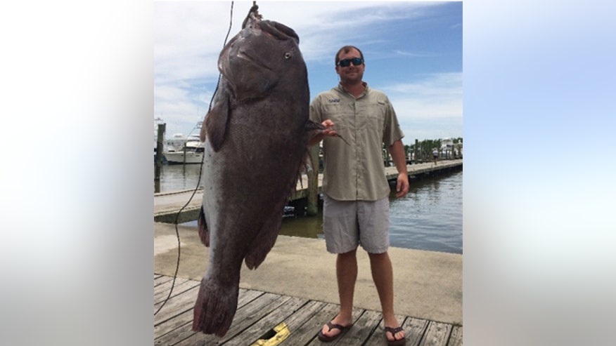 massivegrouper.jpg