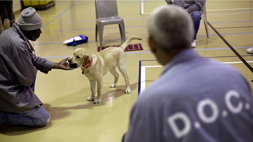 prisonpup.jpg