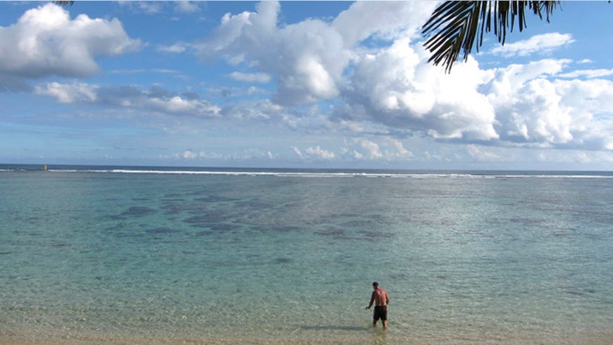 shark_attack_beach_saint_paul.jpg