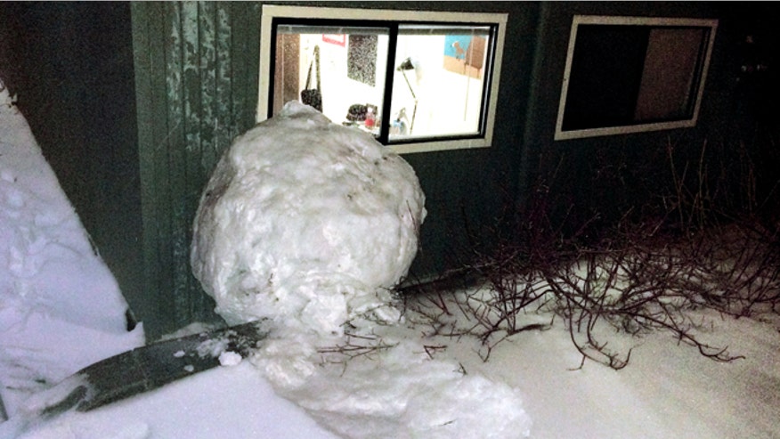snowballinternal131.jpg
