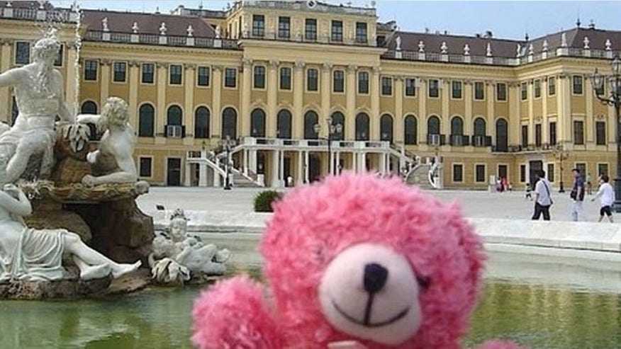 stuffed_animal_tours.jpg