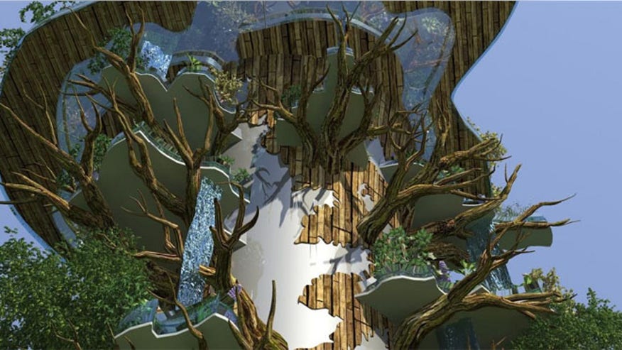 tree_house.jpg