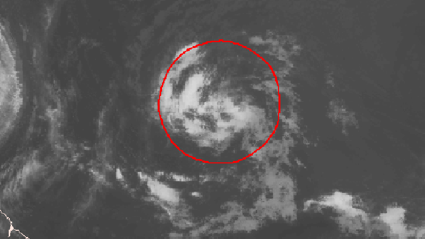 Tropical Wave Fiona