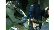 WARNING GRAPHIC IMAGES: Bombings at the Boston Marathon finish line killed three people and wounded at least  on April , . Dzhokar Tsarnaev, , has been charged in the attack.