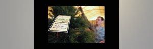 This year, FedEx plans to deliver some , trees to more than military bases around the world during the busy weeks leading up to Christmas through the Trees for Troops program, which is celebrating its tenth anniversary.