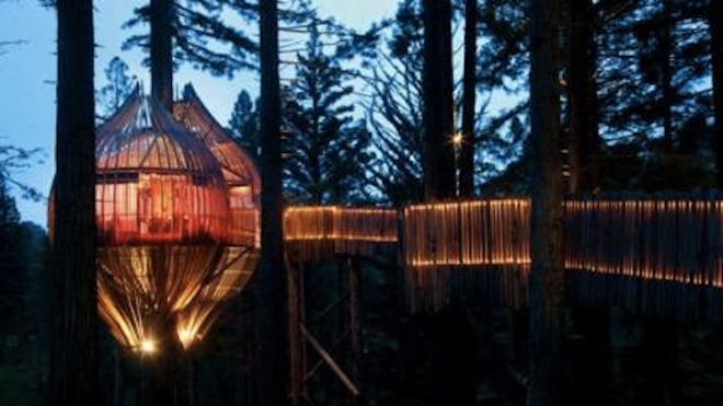 AOLre_RedwoodsTreehouse.jpg