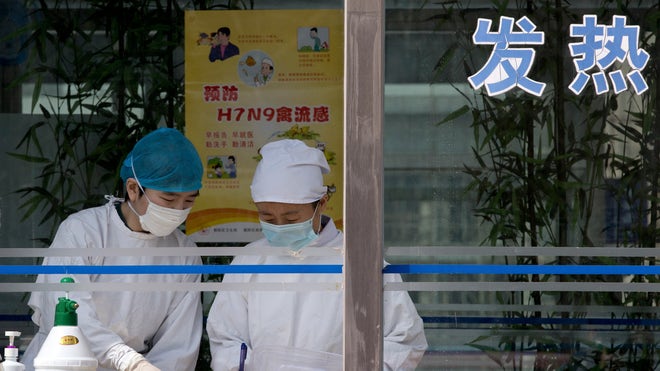 Latest bird flu strain 'kills more than a third' of patients, Chinese researchers say China%20Bird%20Flu_Angu