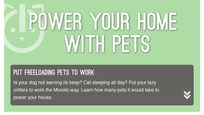 Movoto_powerwpets.jpg