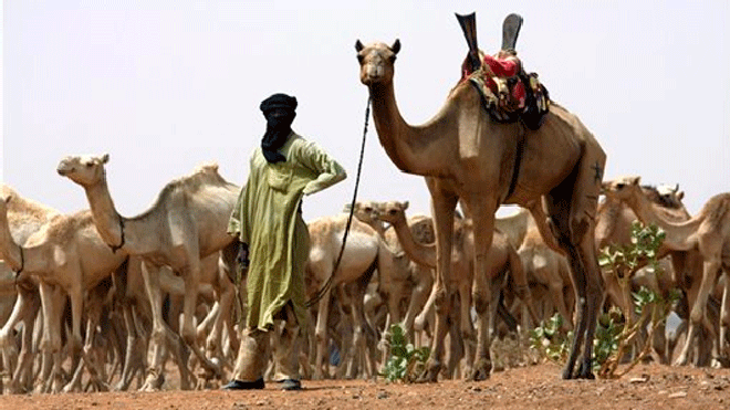 alqaidaafrica