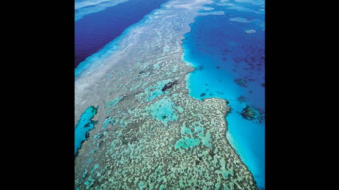 barrier reefs