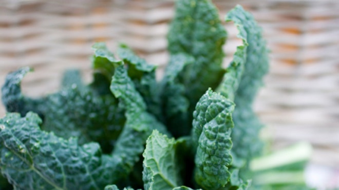 iStock_000001256206XSmall_Kale.jpg