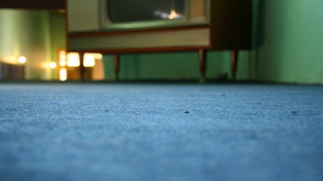 iStock_000001503600XSmall_RetroCarpet.jpg