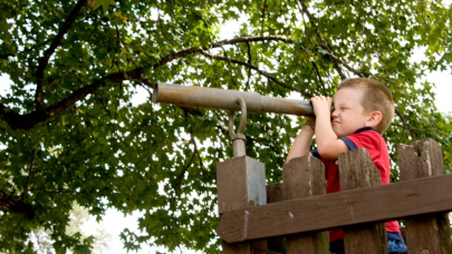 iStock_000004412880XSmall_Treehouse.jpg