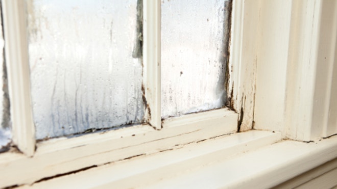iStock_000015602174XSmall_WindowMold.jpg