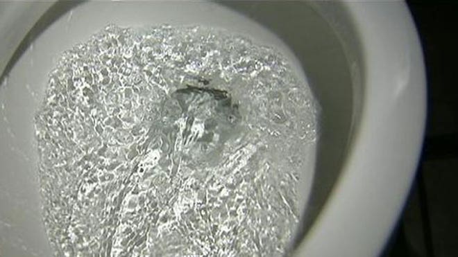 toilet_water.jpg