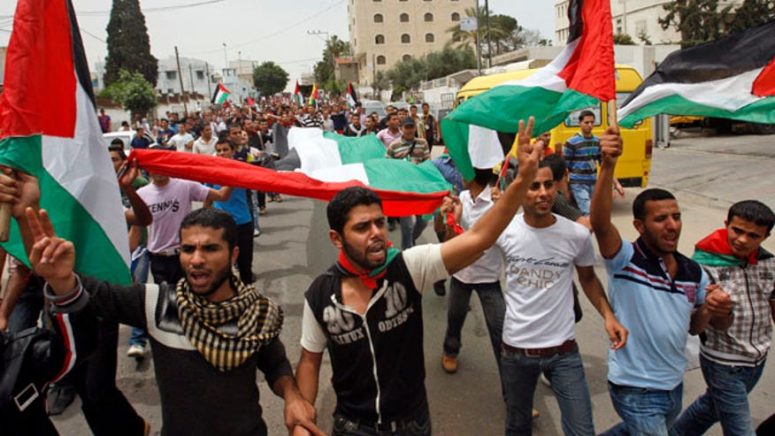 Palestinian Supporters