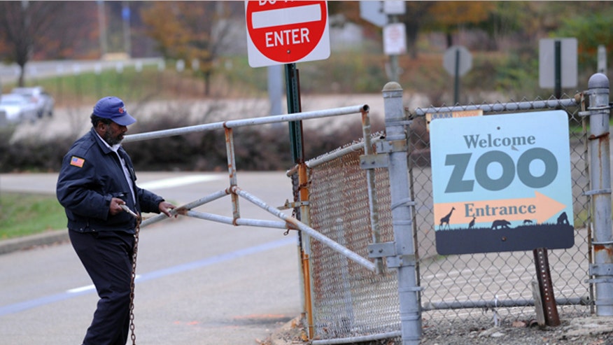 1105_pittsburghzoo.jpg