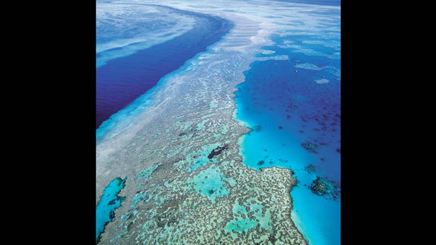 barrierreef.jpg
