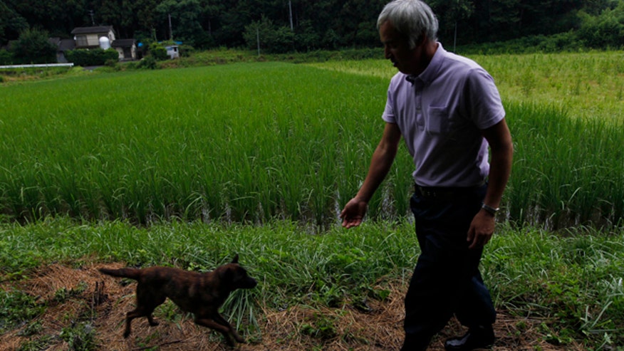 Japanese nuclear holdout