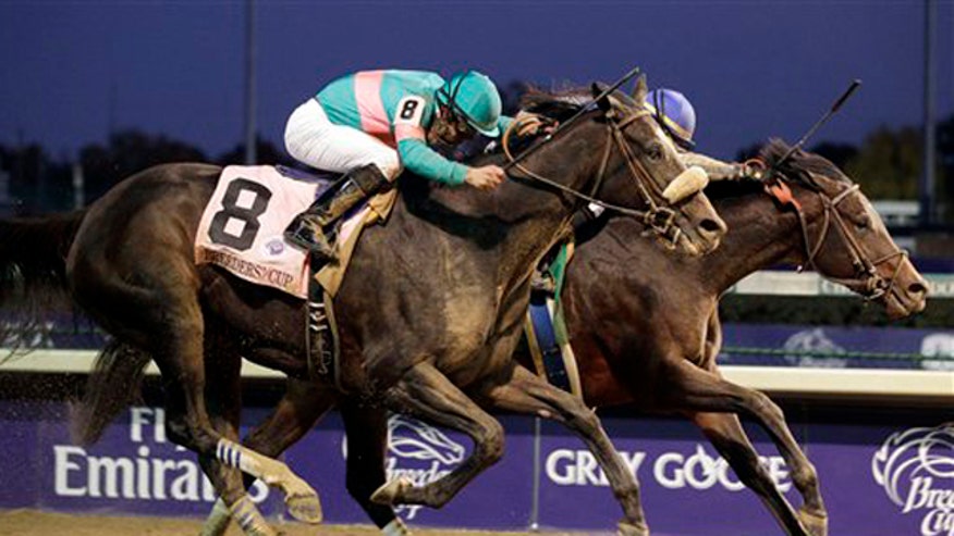 Zenyatta Loses Breeders'