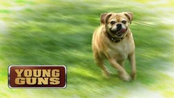 >Petflow’s rethink of how to sell online pet food seems to be clicking: The less-than-two-year-old startup pulled in $2 million in revenue in March alone.