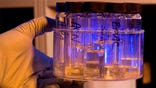 Bristol Myers Squibb was upgraded to buy from neutral as well as its price target to $ from $.