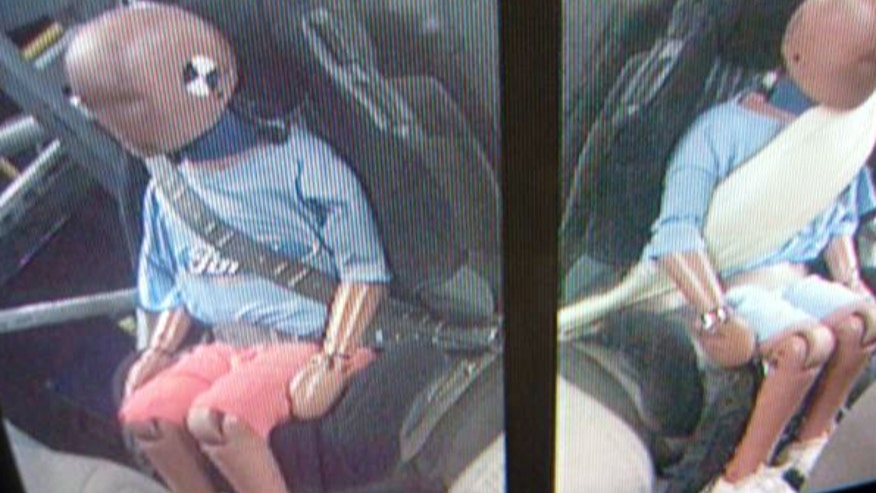 Seatbelt Demo