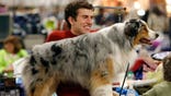 It may be tempting to get a dog while in school, but many students may not be factoring in the time and money that a four-legged companion requires. Here’s what pet experts say students need to consider before bringing Fido home.