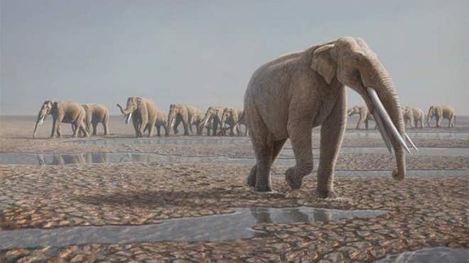 elephant-herd-reconstruction