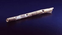   Early modern humans could have spent their evenings sitting around the fire, playing bone flutes and singing songs , years ago, newly discovered ancient musical instruments indicate.