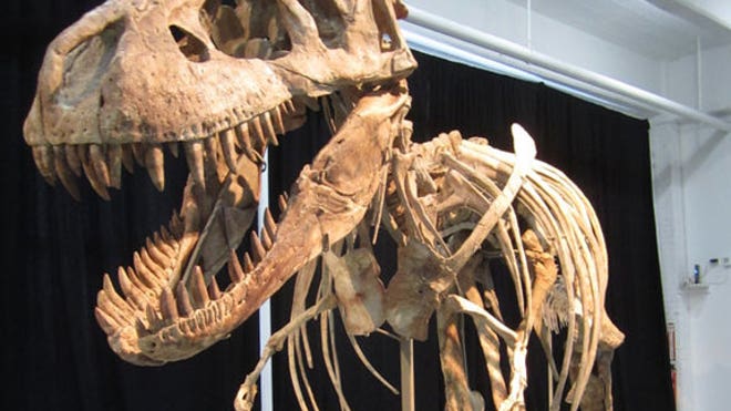 tarbosaur
