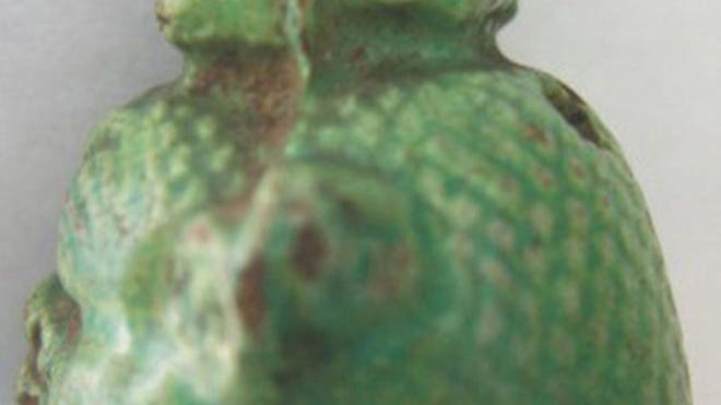 bes-bell-ears