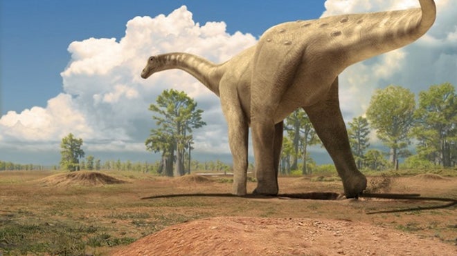 dino_catala