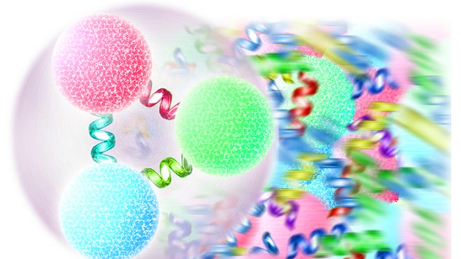 quark-gluon-plasma